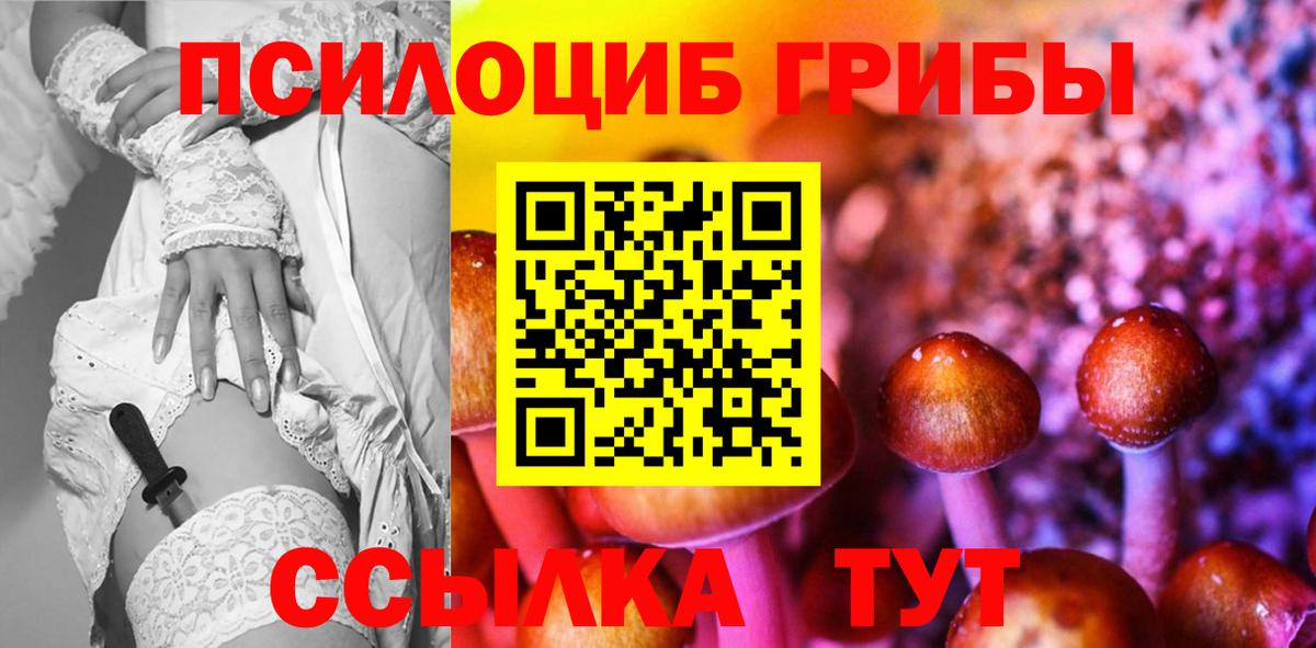 Псилоцибиновые грибы Psilocybine cubensis Нарьян-Мар