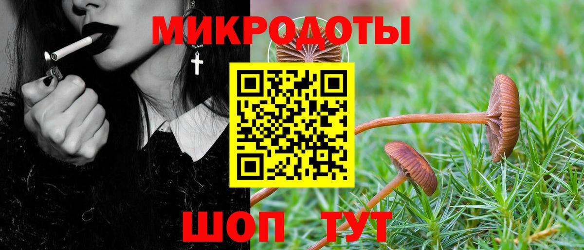 Псилоцибиновые грибы Psilocybine cubensis  Галлюциногенные грибы мицелий  Нарьян-Мар  Вход с VPN 